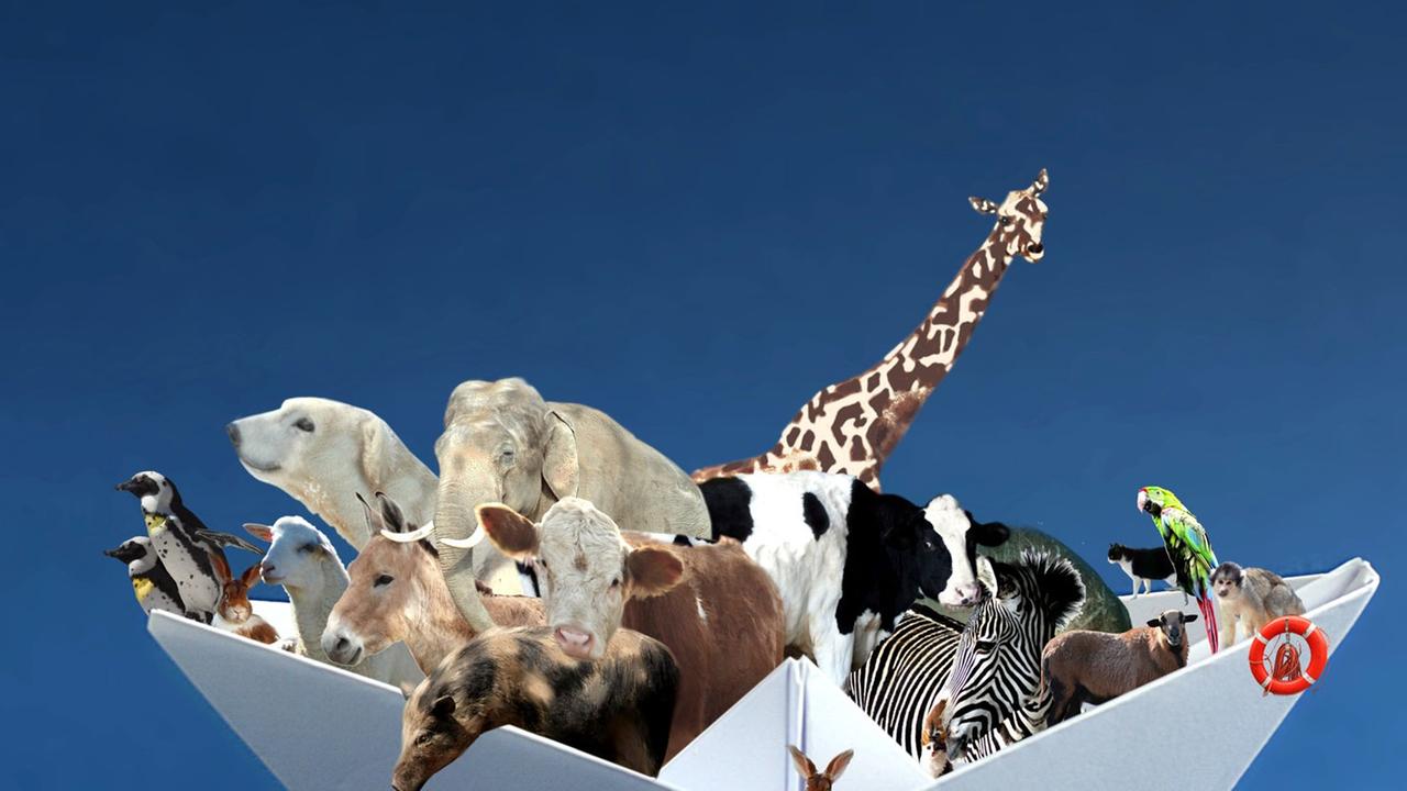 Ein weißes, gefaltetes Papier-Hütchen soll die Archie Noah darstellen. Darin befinden sich zwei Pinguine, zwei Haasen, ein Schaf,, ein Eisbär, ein Elefant, eine Giraffe, ein Esel, eine Kuh, ein Schwein, ein Zebra, eine Katze, ein Papagei und ein Äffchen.