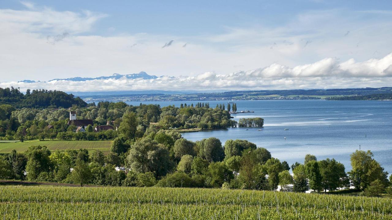 Ausblick auf Bodensee und die Schweizer Alpen mit Säntis, Uhldingen-Mühlhofen Ausblick auf Bodensee und die Schweizer Alpen mit Säntis, Uhldingen-Mühlhofen