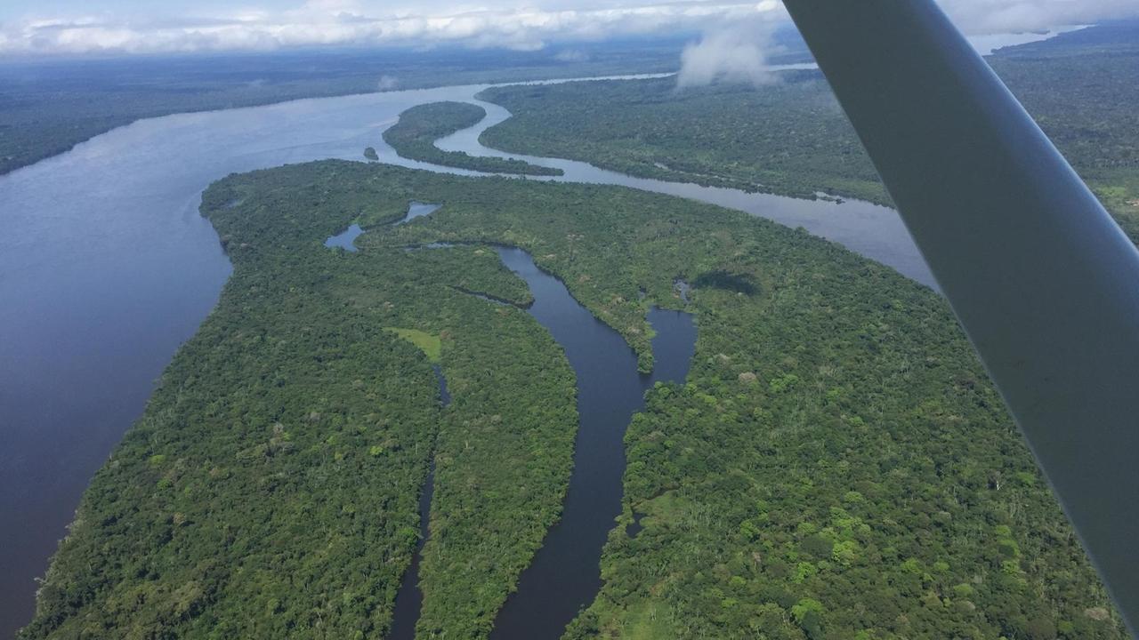 Luftaufnahme vom Amazonas. Luftaufnahme vom Amazonas.