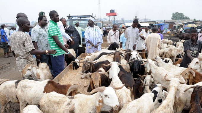 Nigerianische Muslime kaufen auf dem Viehmarkt von Kara Schafe für das islamische Opferfest ein. Nigerianische Muslime kaufen auf dem Viehmarkt von Kara Schafe für das islamische Opferfest ein.