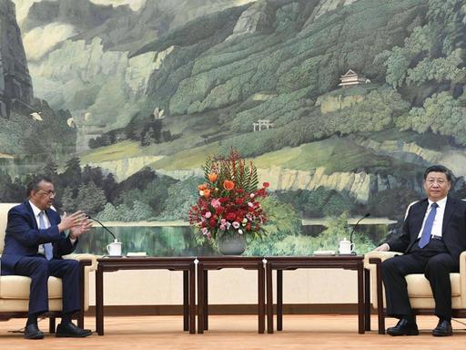 WHO-Chef Tedros Adhanom Ghebreyesus und Chinas Staatschef Xi Jinping am 28. Januar 2020 zu Beratungen in Peking über die Corona-Erkrankungen