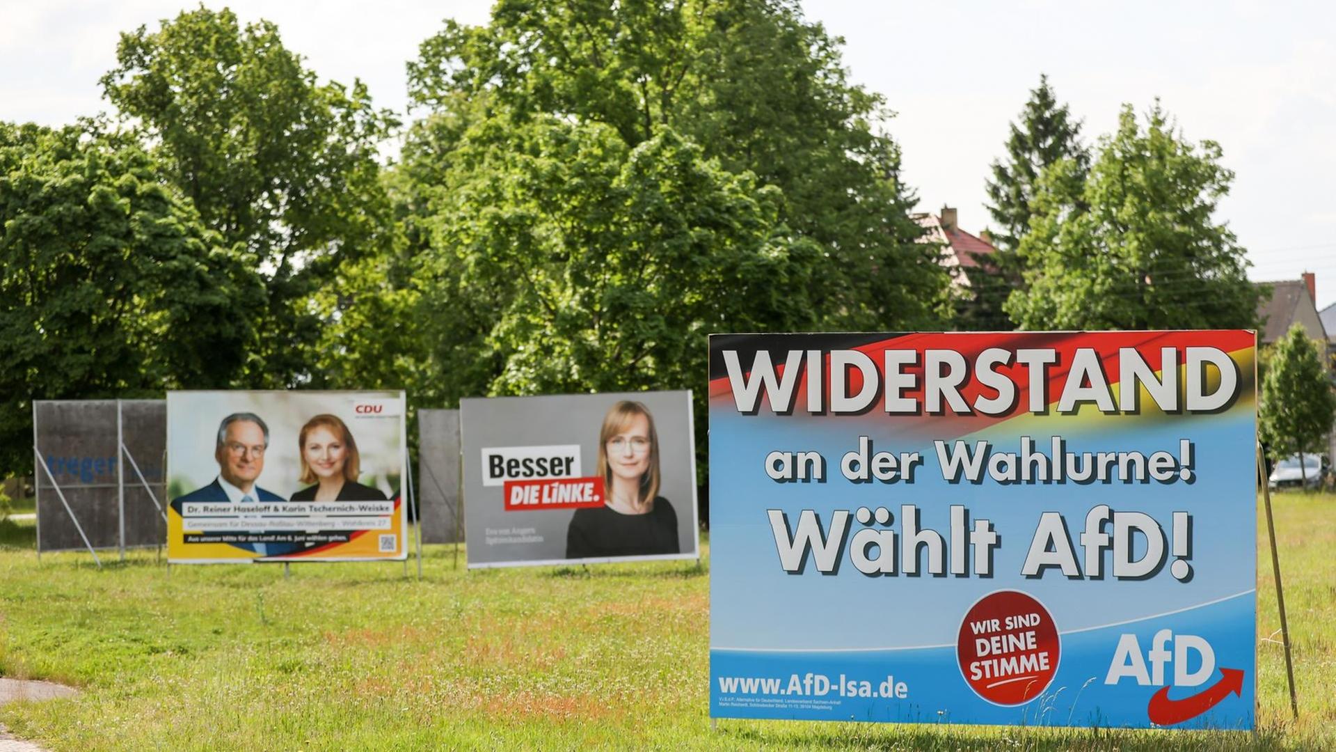 Große Wahlplakate von CDU, der Linken und AfD stehen auf einer Wiese. In Sachsen-Anhalt wird am 6. Juni ein neuer Landtag gewählt.
