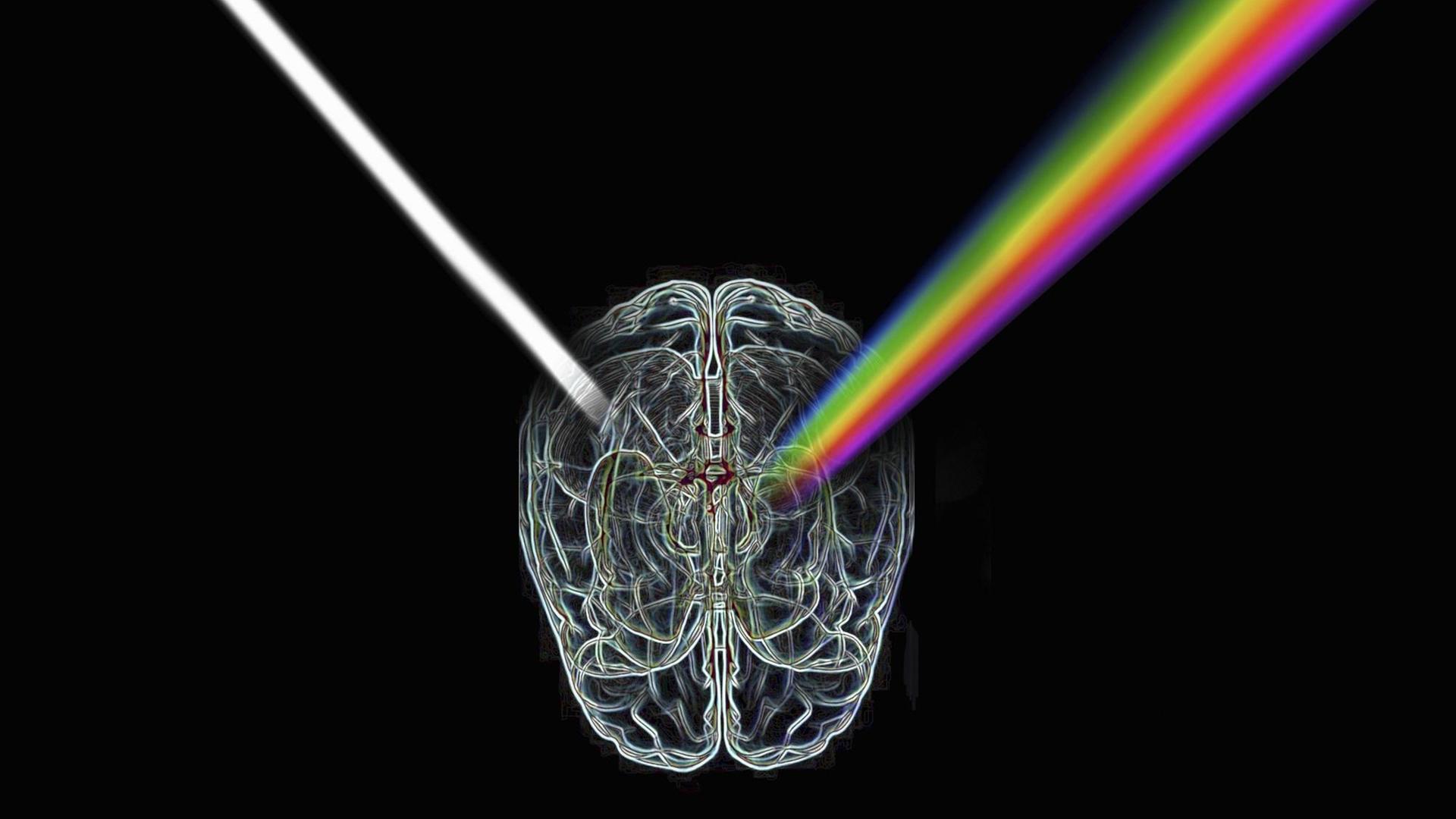 Illustration: Ein Kabelhirn bricht das Licht als Prisma. Illustration: Ein Kabelhirn bricht das Licht als Prisma.