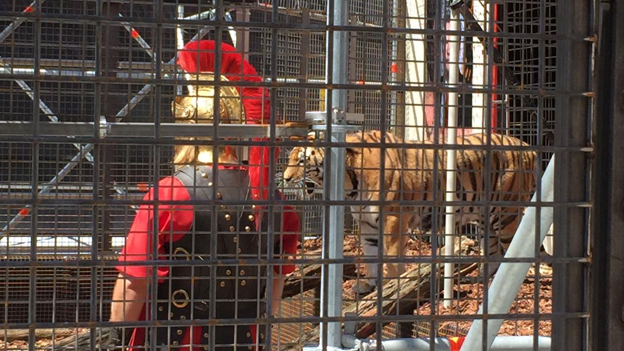 Blick durchs Gitter: Ein Tiger und ein Mann im Imperator-Kostüm bei der Aktion "Flüchtlinge Fressen" des Zentrums für Politische Schönheit