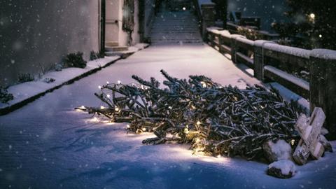 Auf einem schneebedeckten Weg liegt ein umgefallener Weihnachtsbaum mit leuchtender Lichterkette.
