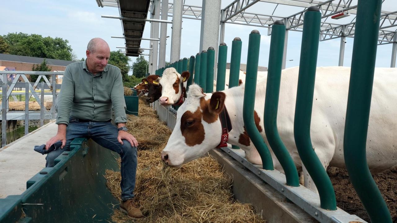 Der Landwirt Peter van Wingerden mit Kühen auf seiner schwimmenden Farm im Hafen von Rotterdam Der Landwirt Peter van Wingerden mit Kühen auf seiner schwimmenden Farm im Hafen von Rotterdam