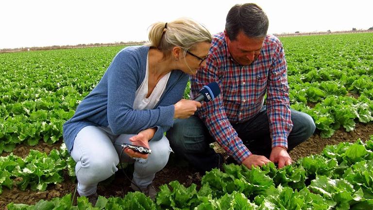 Korrespondention Nicole Markwald im Gespräch mit einem Landwirt in Kalifornien. Korrespondention Nicole Markwald im Gespräch mit einem Landwirt in Kalifornien.