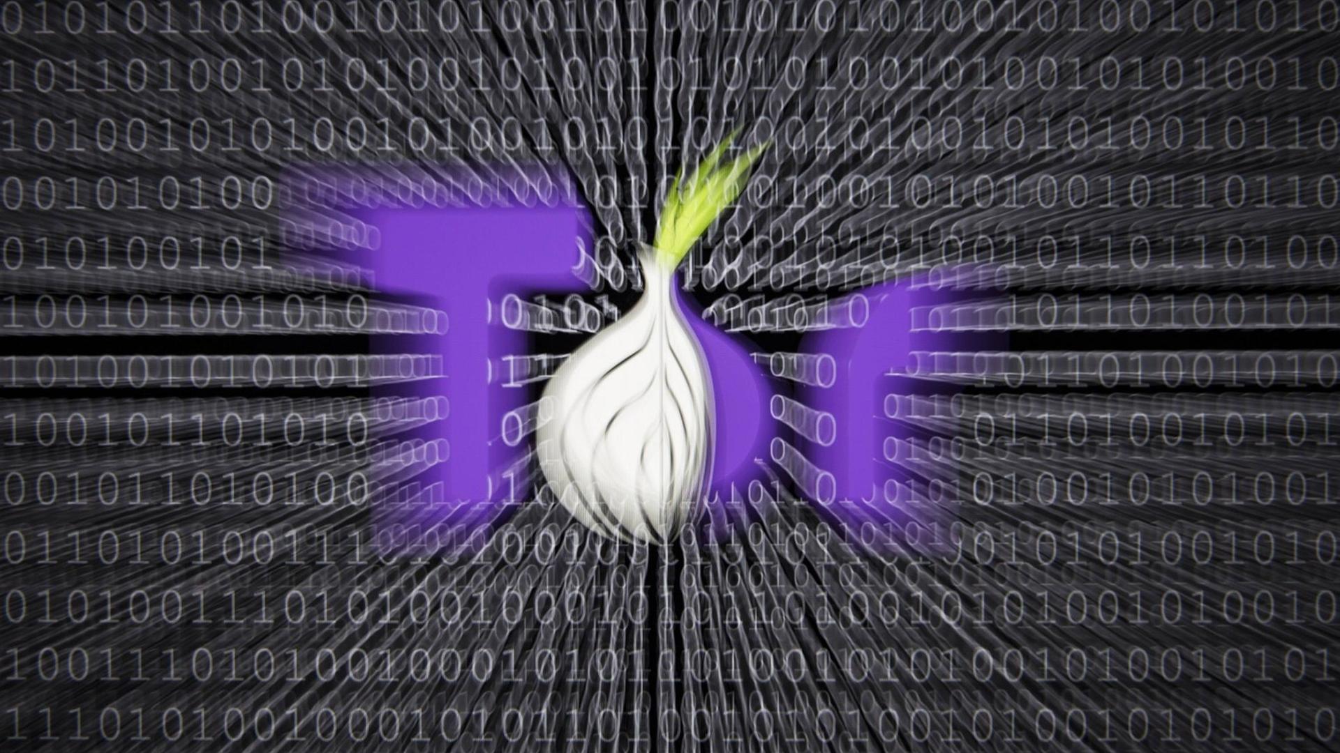 Illustration zum Thema Darknet , Logo des Tor Browsers, der Zugang zum Darknet bietet. Im Hintergrund sind Binaercodes abgebildet, Berlin, 13.01.2017. Illustration zum Thema Darknet , Logo des Tor Browsers, der Zugang zum Darknet bietet. Im Hintergrund sind Binaercodes abgebildet, Berlin, 13.01.2017.