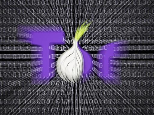 Illustration zum Thema Darknet , Logo des Tor Browsers, der Zugang zum Darknet bietet. Im Hintergrund sind Binaercodes abgebildet, Berlin, 13.01.2017.
