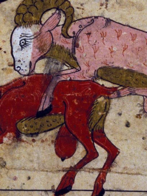 Illustration eines Ziegenbocks, der von hinten eine Ziege bespringt.