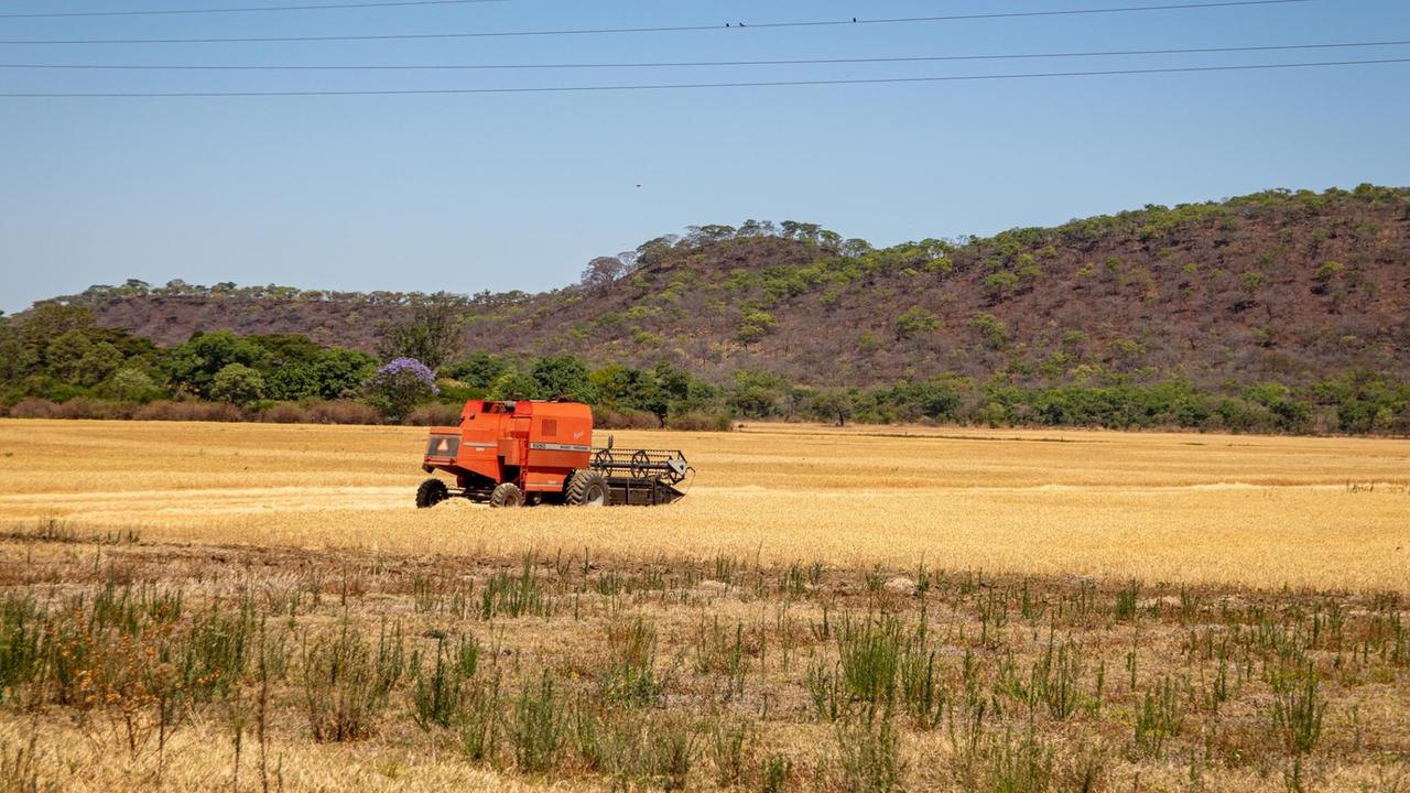 Ein Mähdrescher auf einem Feld. Ein Mähdrescher auf einem Feld.