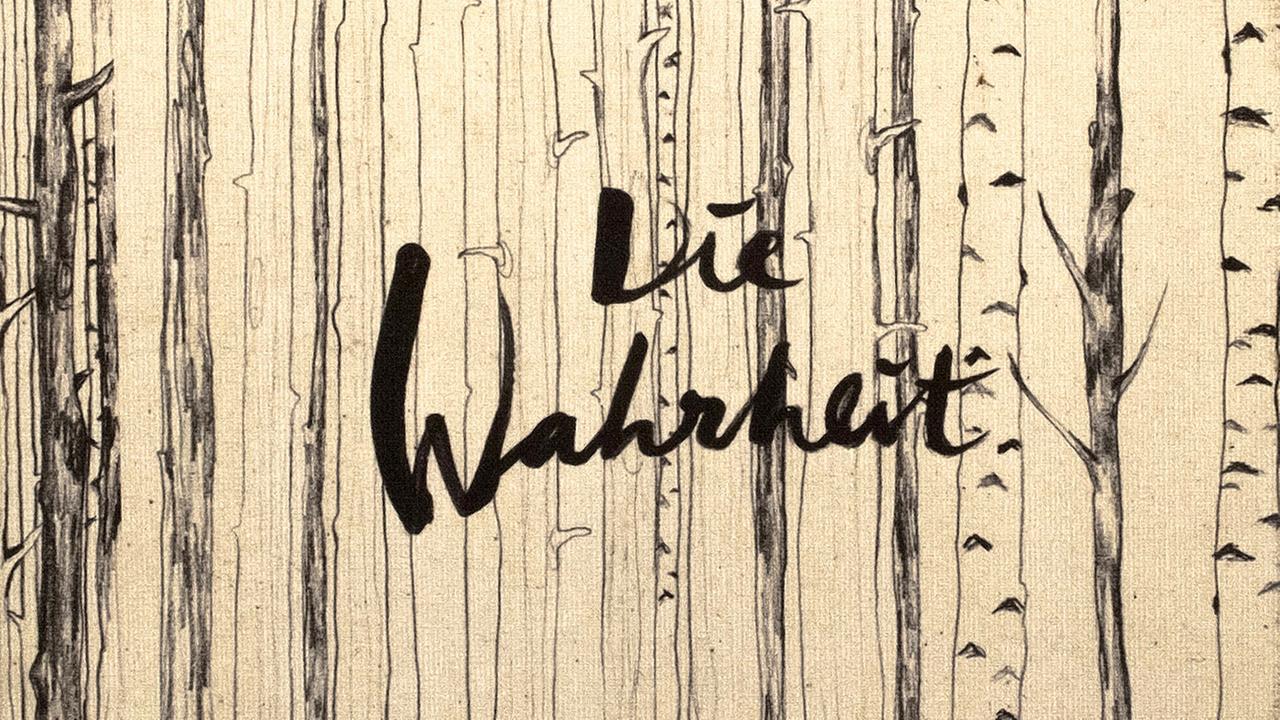 Ausschnitt aus dem Cover von Marie Wolfs Graphic Novel "Die Wahrheit" Ausschnitt aus dem Cover von Marie Wolfs Graphic Novel "Die Wahrheit"