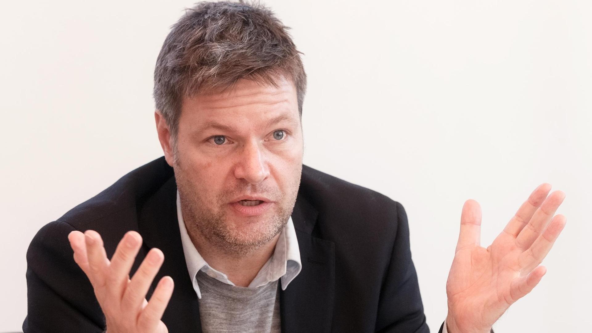 Der Umweltminister Schleswig-Holsteins, Robert Habeck, bei einer Pressekonferenz in Kiel Der Umweltminister Schleswig-Holsteins, Robert Habeck, bei einer Pressekonferenz in Kiel
