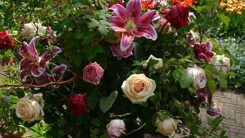 Ein Blumen-Arrangement mit Rosen und Lilien, aufgenommen im Blumenpark Keukenhof bei Lisse in den Niederlanden am 25.04.2014.