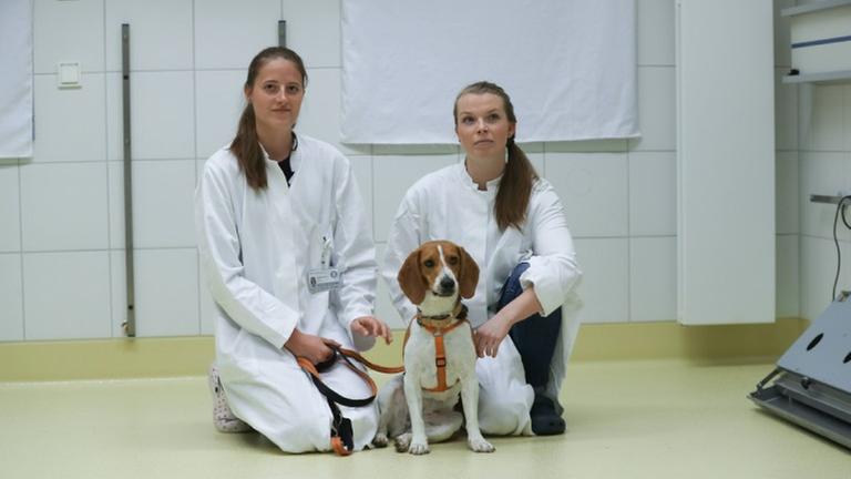 Leider liegt für dieses Bild keine Bildbeschreibung vor Leider liegt für dieses Bild keine Bildbeschreibung vor
