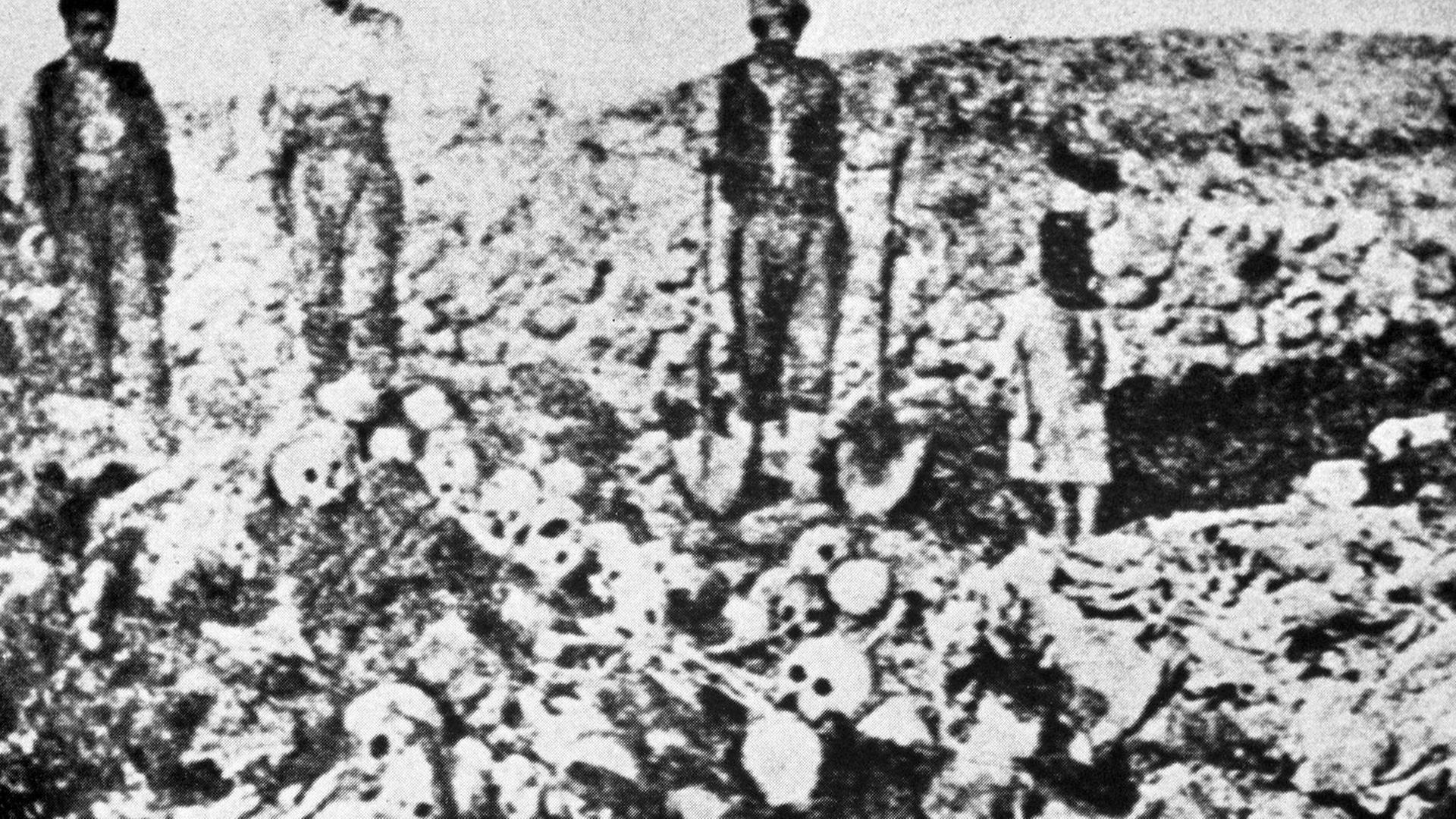 Massengrab mit den Leichen getöteter Armenier. Rund 1,5 Millionen Armenier sind in den Jahren 1915 und 1916 bei den Massenmorden und Deportationen durch die Türken ums Leben gekommen. Als Folge flüchteten die Armenier aus dem türkischen Teil Armeniens in den russischen Teil sowie in andere Länder. Massengrab mit den Leichen getöteter Armenier. Rund 1,5 Millionen Armenier sind in den Jahren 1915 und 1916 bei den Massenmorden und Deportationen durch die Türken ums Leben gekommen. Als Folge flüchteten die Armenier aus dem türkischen Teil Armeniens in den russischen Teil sowie in andere Länder.