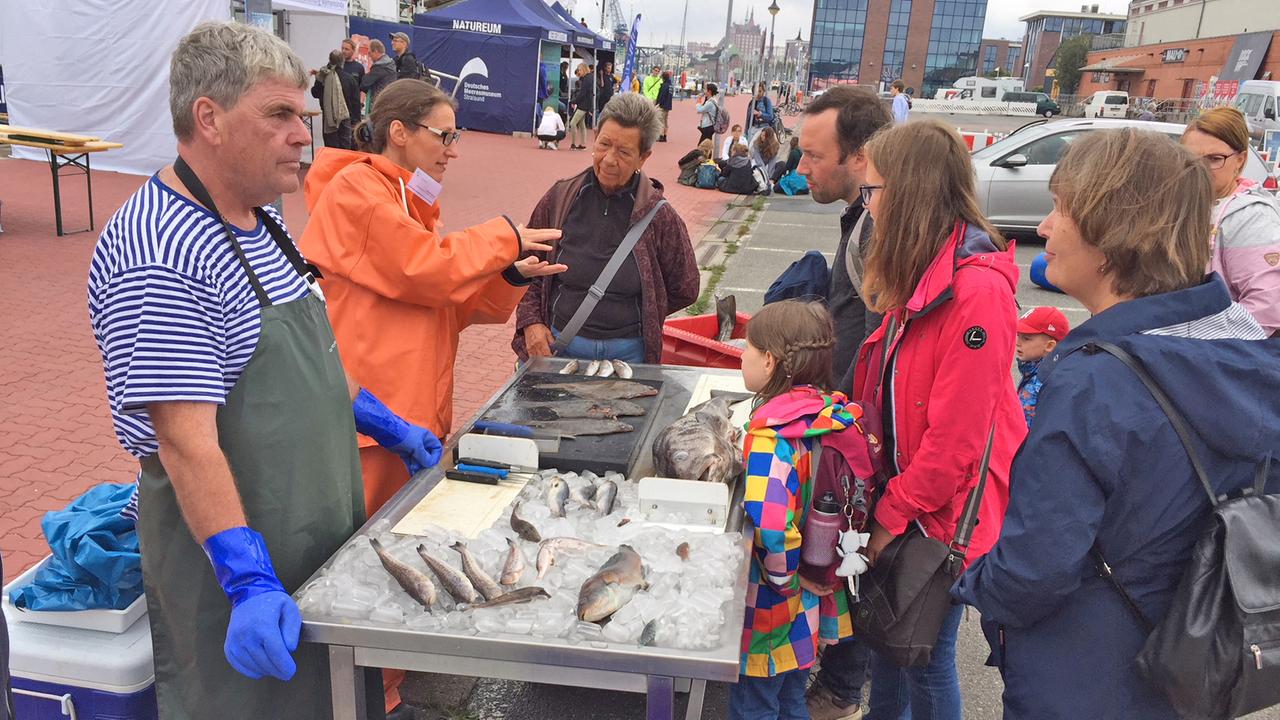 Das Thünen-Institut erklärt beim "Ostseetag" den Besuchern, wie es um die Fische in der Ostsee bestellt ist.