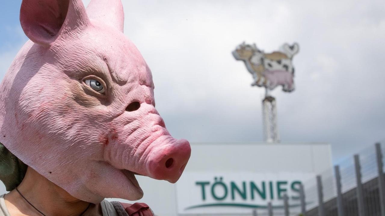 Eine Person trägt eine Schweine-Maske und steht während einer Demonstration gegen Tierquälerei vor dem Betriebsgelände der Fleischfabrik Tönnies. Eine Person trägt eine Schweine-Maske und steht während einer Demonstration gegen Tierquälerei vor dem Betriebsgelände der Fleischfabrik Tönnies.