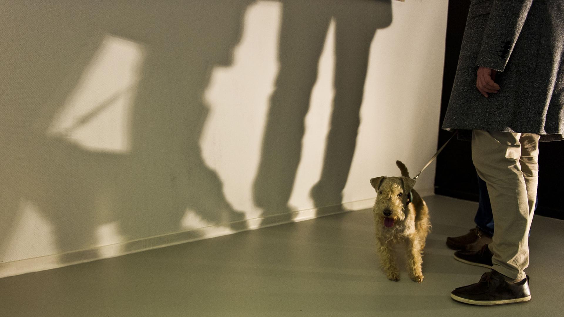 Auf der "DOGumenta" Ausstellung in Frankfurt am Main (Hessen) wirft am 06.11.2012 ein Besucher-Paar mit Hund Schatten auf eine Wand.