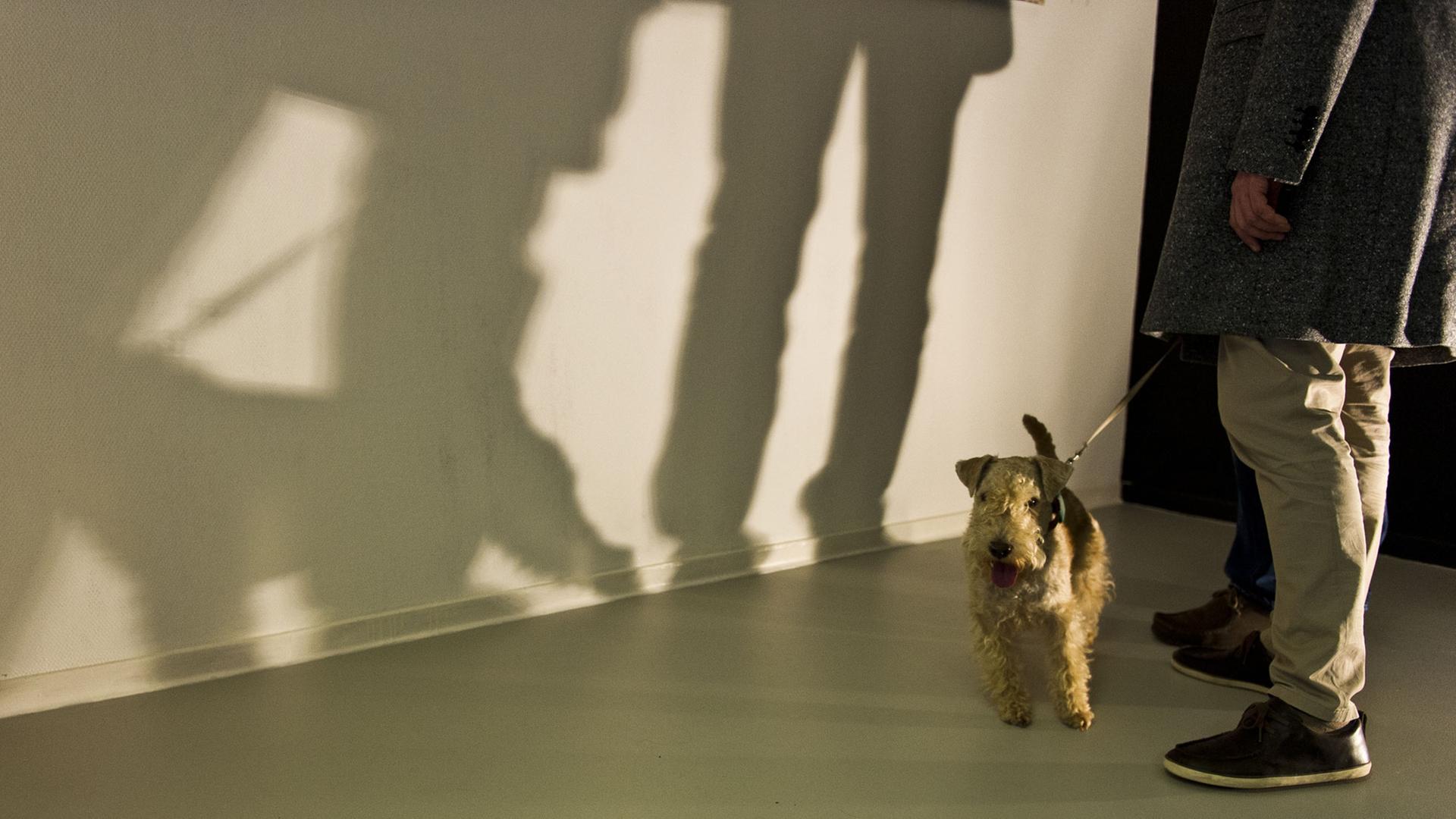 Auf der "DOGumenta" Ausstellung in Frankfurt am Main (Hessen) wirft am 06.11.2012 ein Besucher-Paar mit Hund Schatten auf eine Wand. Auf der "DOGumenta" Ausstellung in Frankfurt am Main (Hessen) wirft am 06.11.2012 ein Besucher-Paar mit Hund Schatten auf eine Wand.