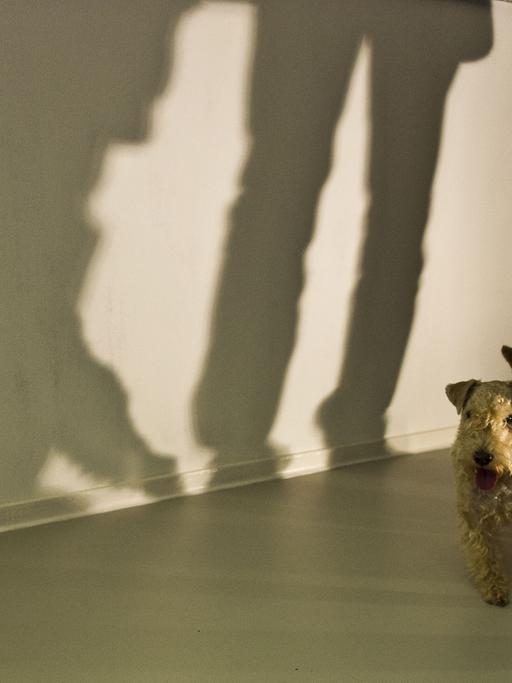 Auf der "DOGumenta" Ausstellung in Frankfurt am Main (Hessen) wirft am 06.11.2012 ein Besucher-Paar mit Hund Schatten auf eine Wand.