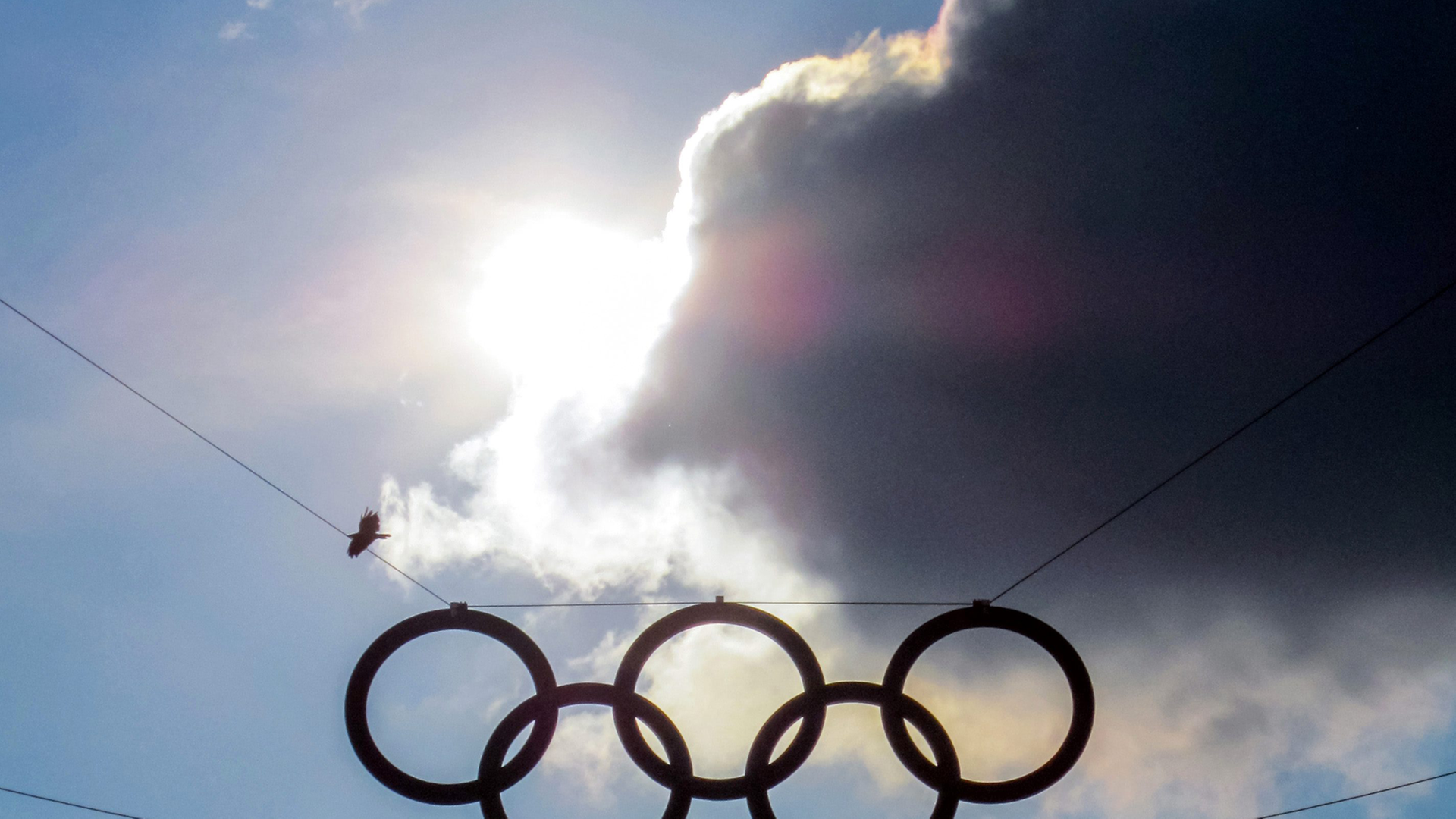 Ukraine-Krieg - Internationaler Widerstand gegen Wiedereingliederung russischer Athleten in olympischen Sport