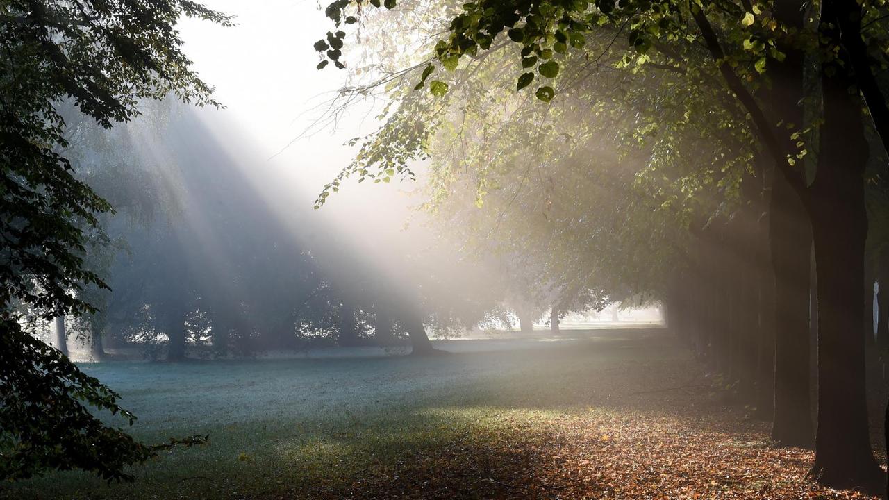 In den Strahlen der aufgehenden Sonne liegt frühmorgenlicher Dunst und Nebel am im Georgengarten in Hannover. In den Strahlen der aufgehenden Sonne liegt frühmorgenlicher Dunst und Nebel am im Georgengarten in Hannover.