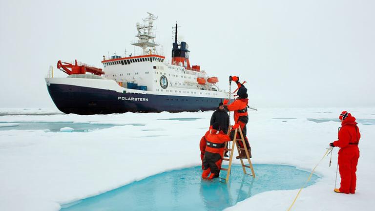 Das Forschungsschiff "Polarstern" vom AWI. Das Forschungsschiff "Polarstern" vom AWI.