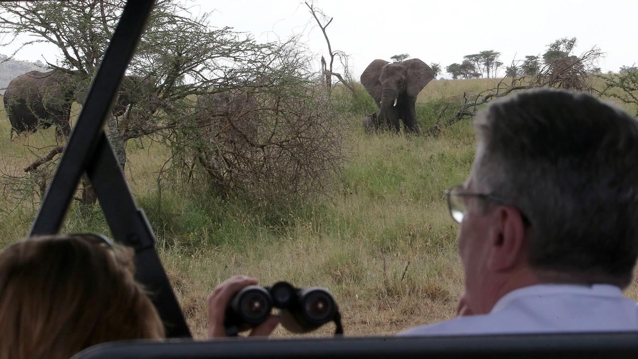 Bundespräsident Joachim Gauck bei einer Safari im Nationalpark Serengeti Bundespräsident Joachim Gauck bei einer Safari im Nationalpark Serengeti