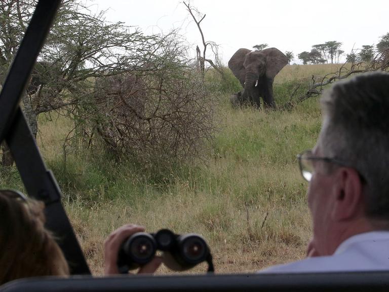 Bundespräsident Joachim Gauck bei einer Safari im Nationalpark Serengeti