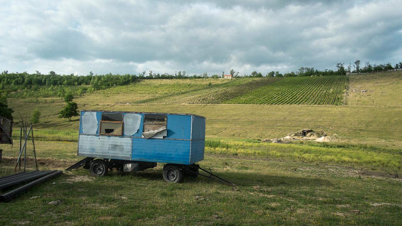 Zu sehen ist ein blauer Bauwagen auf einer Wiese, dahinter am Hang ein Weinberg Zu sehen ist ein blauer Bauwagen auf einer Wiese, dahinter am Hang ein Weinberg