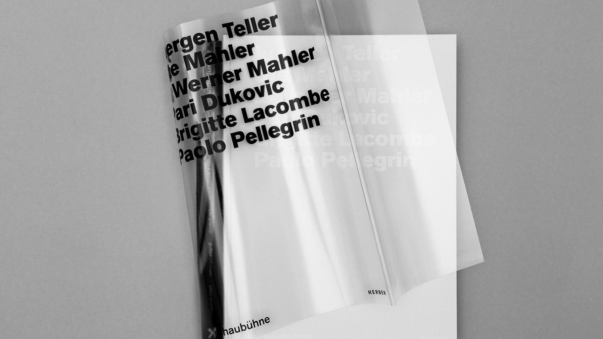 Der Bildband zu den Kampagnen der Schaubühne 2013 - 2018