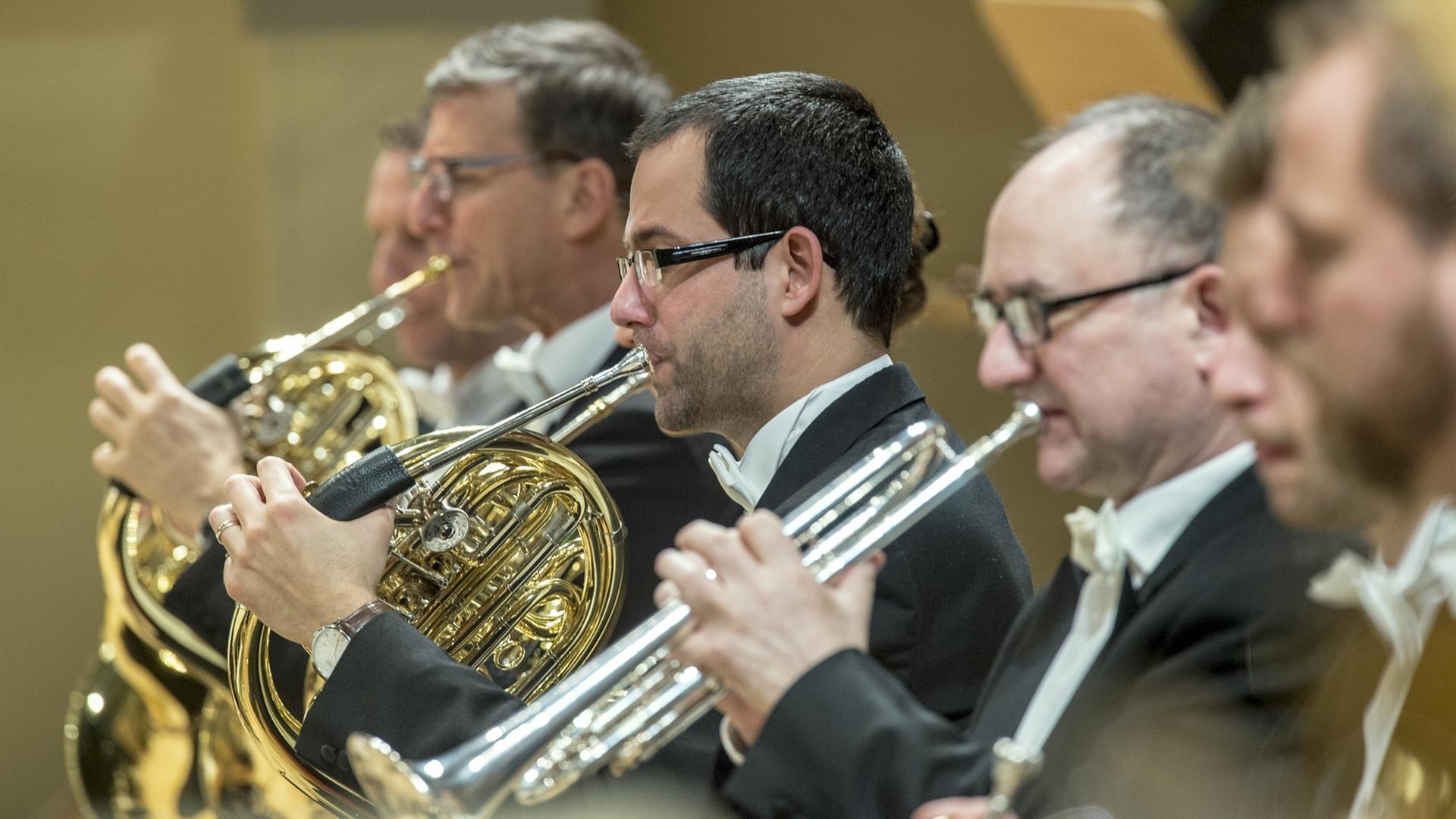 Der Hornist Dániel Ember und seine Kollegen des Rundfunksinfonie-Orchesters Berlin spielen in einem Konzert. Der Hornist Dániel Ember und seine Kollegen des Rundfunksinfonie-Orchesters Berlin spielen in einem Konzert.