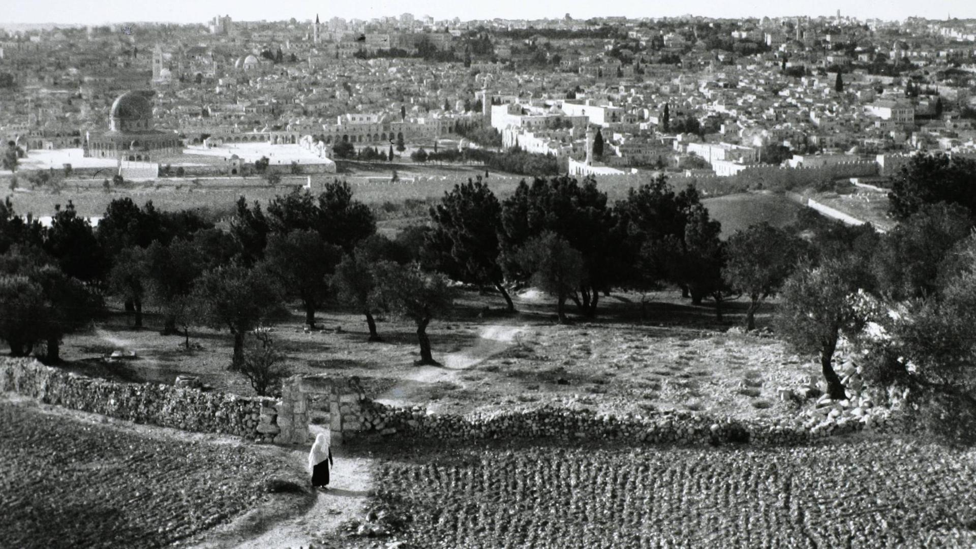 Blick vom Ölberg auf Jerusalem und den Tempelberg (1947). Blick vom Ölberg auf Jerusalem und den Tempelberg (1947).