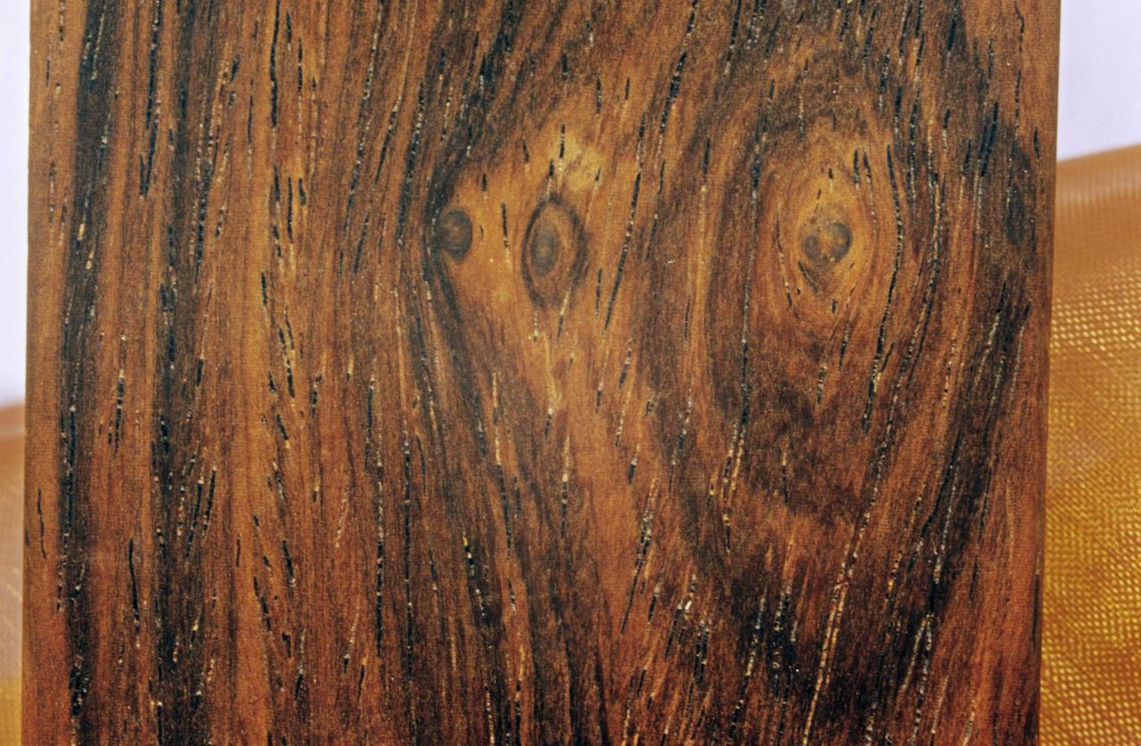 Maserung eines Fernambuk-Baumes im Detail