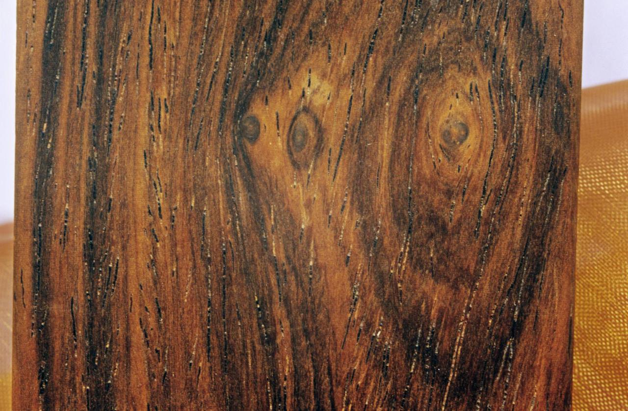 Maserung eines Fernambuk-Baumes im Detail Maserung eines Fernambuk-Baumes im Detail