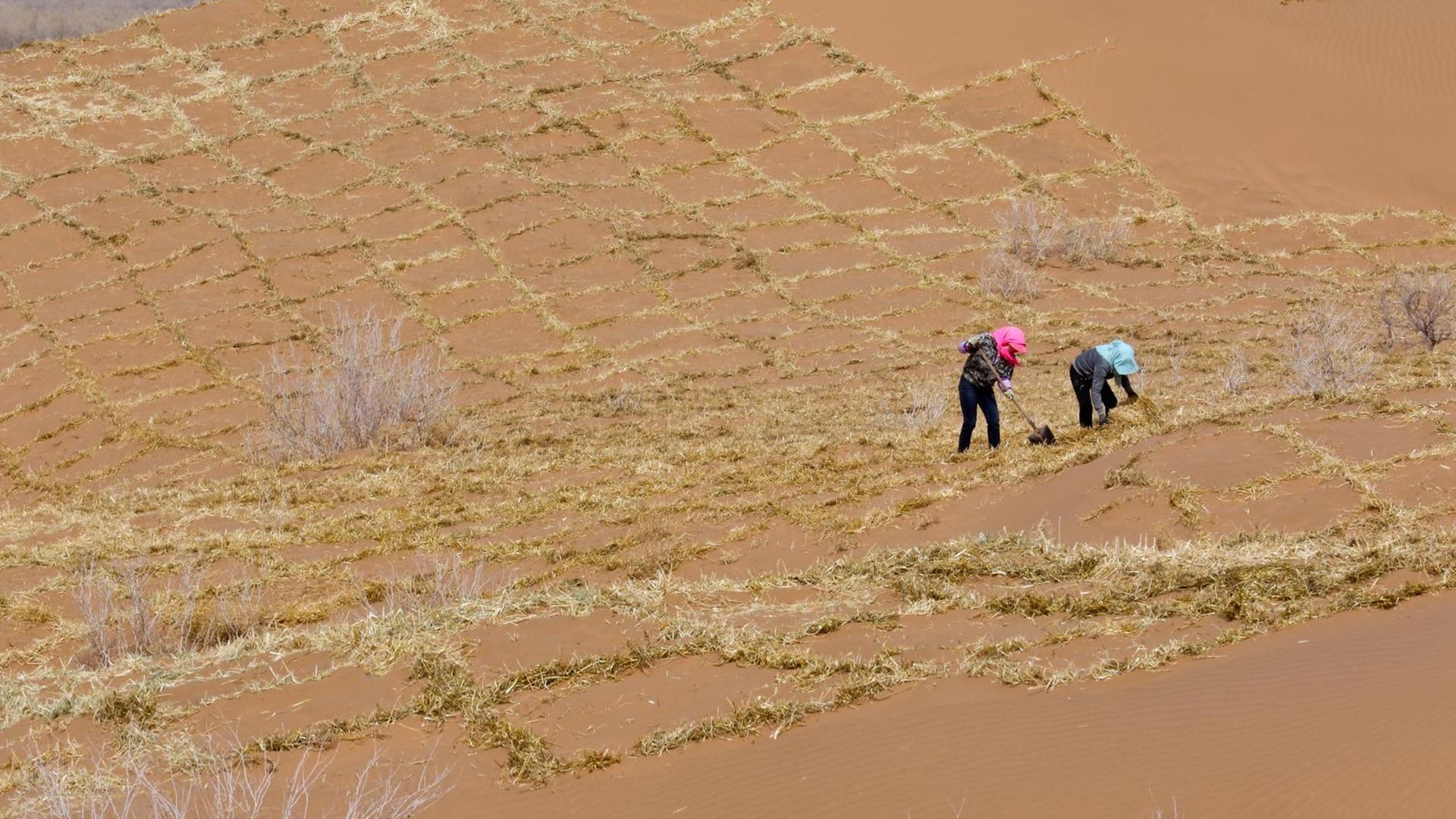 Maßnahmen gegen Desertifikation in China