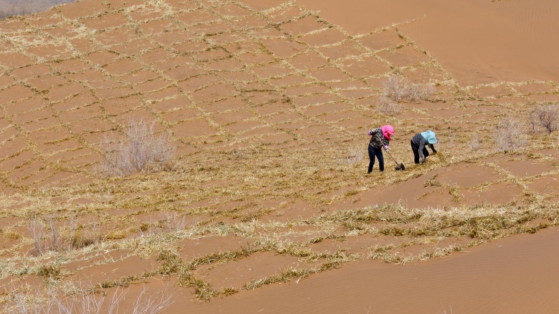 Maßnahmen gegen Desertifikation in China Maßnahmen gegen Desertifikation in China
