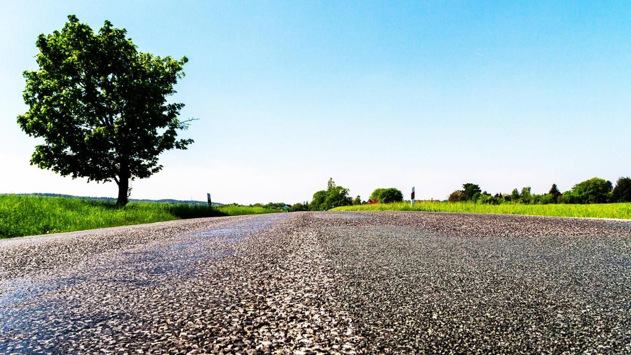 Landstraße dicht über dem Asphalt. Links steht ein Baum. Neben der Straße sind Felder und Wiesen erkennbar. Landstraße dicht über dem Asphalt. Links steht ein Baum. Neben der Straße sind Felder und Wiesen erkennbar.