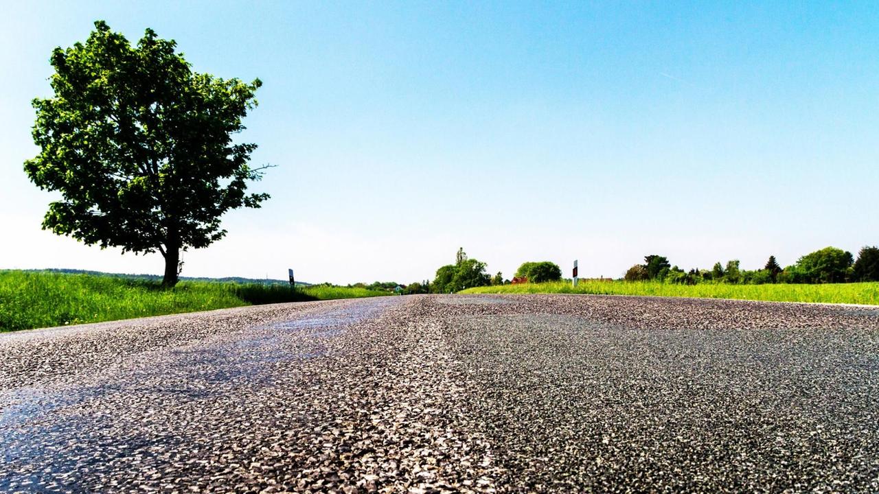 Landstraße dicht über dem Asphalt. Links steht ein Baum. Neben der Straße sind Felder und Wiesen erkennbar.