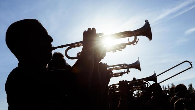 Eine Gruppe Musiker spielt bei strahlendem Sonnenschein im Berliner Mauerpark Trompete und Posaunen.