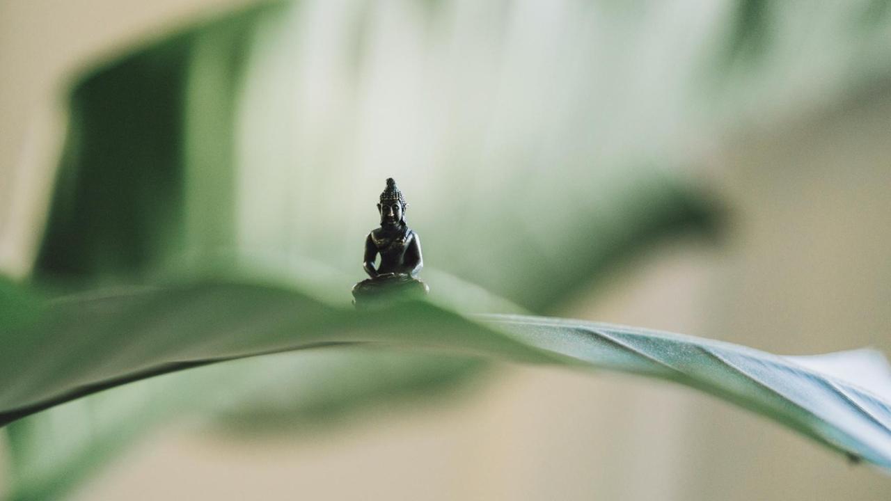 Eine kleine Figur im Yogasitz hockt auf auf einem grünen Blatt. Eine kleine Figur im Yogasitz hockt auf auf einem grünen Blatt.
