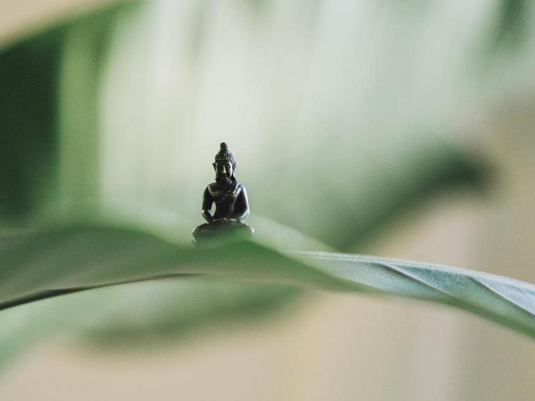 Eine kleine Figur im Yogasitz hockt auf auf einem grünen Blatt.