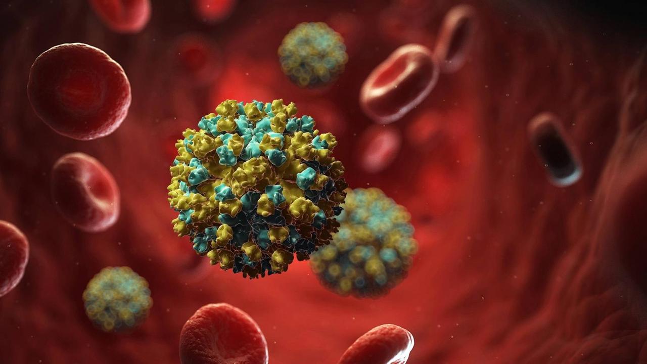 Ein Hepatitis E-Virus in einer coputergrafischen Abbildung Ein Hepatitis E-Virus in einer coputergrafischen Abbildung