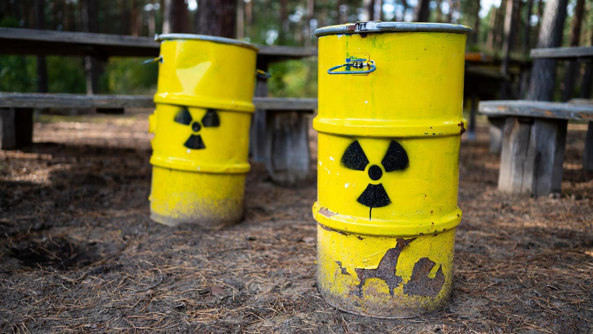 Zwei symbolische Atommüllfässer stehen unweit vom ehemaligen Erkundungsbergwerk Gorleben im Wald. 90 Gebiete in Deutschland haben nach Erkenntnissen der Bundesgesellschaft für Endlagerung günstige geologische Voraussetzungen für ein Atommüll-Endlager. Der Salzstock Gorleben in Niedersachsen ist nicht darunter. Zwei symbolische Atommüllfässer stehen unweit vom ehemaligen Erkundungsbergwerk Gorleben im Wald. 90 Gebiete in Deutschland haben nach Erkenntnissen der Bundesgesellschaft für Endlagerung günstige geologische Voraussetzungen für ein Atommüll-Endlager. Der Salzstock Gorleben in Niedersachsen ist nicht darunter.
