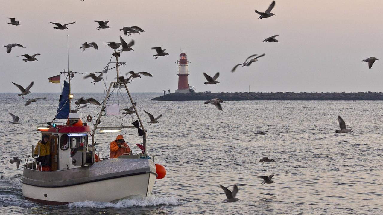 Fischerboot vor Warnemünde, Mecklenburg-Vorpommern Fischerboot vor Warnemünde, Mecklenburg-Vorpommern
