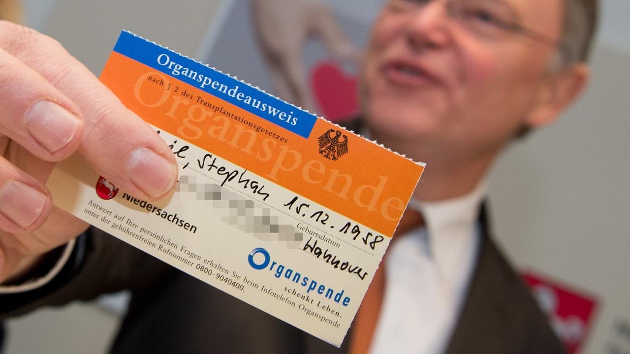 Leider liegt für dieses Bild keine Bildbeschreibung vor