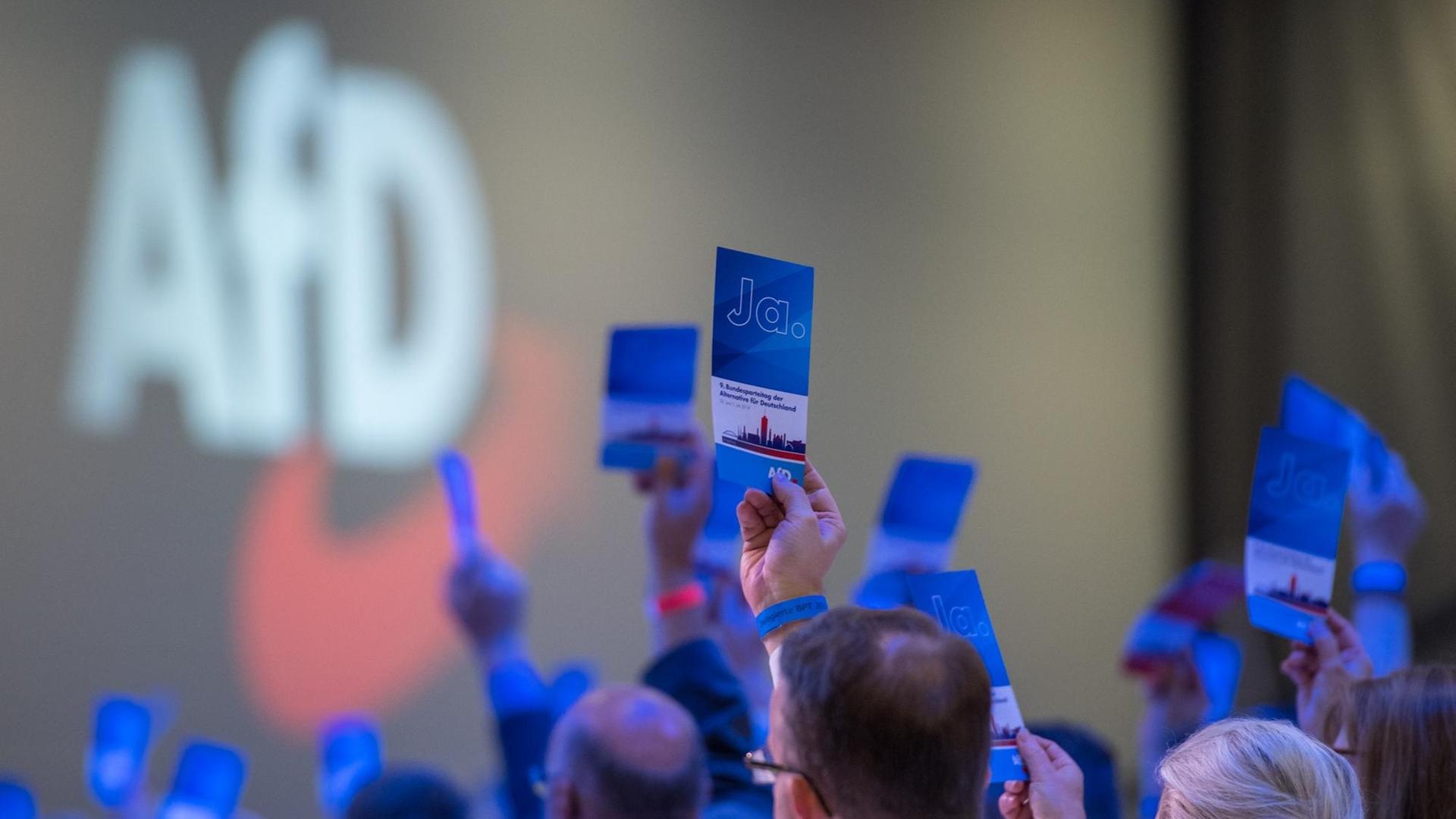 Afd Mitglieder halten "JA" Karten in die Höhe. Afd Mitglieder halten "JA" Karten in die Höhe.