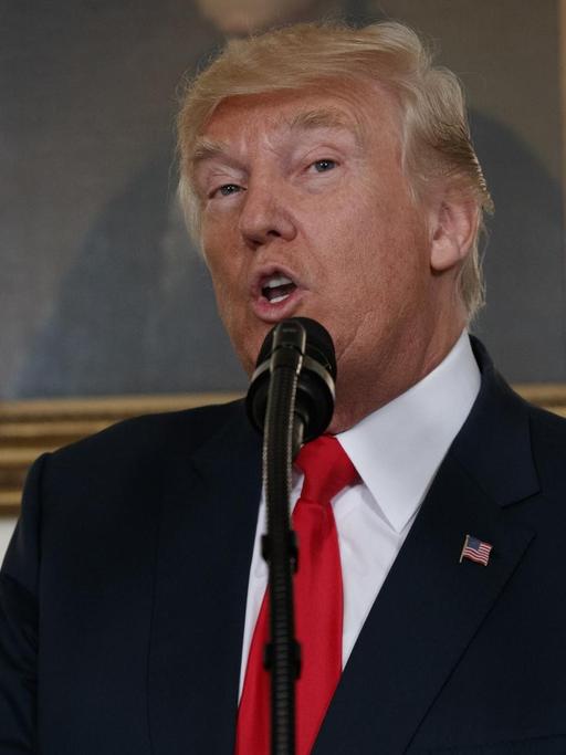 US-Präsident Trump spricht im Weißen Haus in Washington ins Mikrofon.