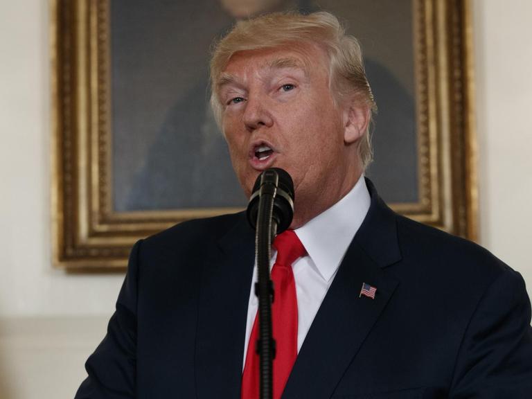 US-Präsident Trump spricht im Weißen Haus in Washington ins Mikrofon.